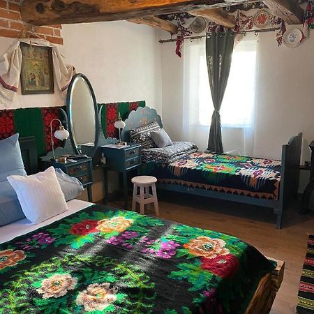 Casa Cezara Lägenhet Silvasu de Jos Exteriör bild