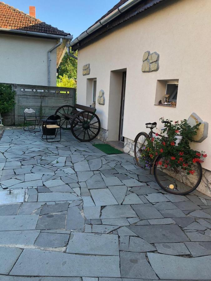 Casa Cezara Lägenhet Silvasu de Jos Exteriör bild