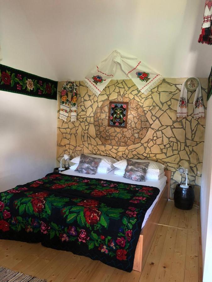 Casa Cezara Lägenhet Silvasu de Jos Exteriör bild