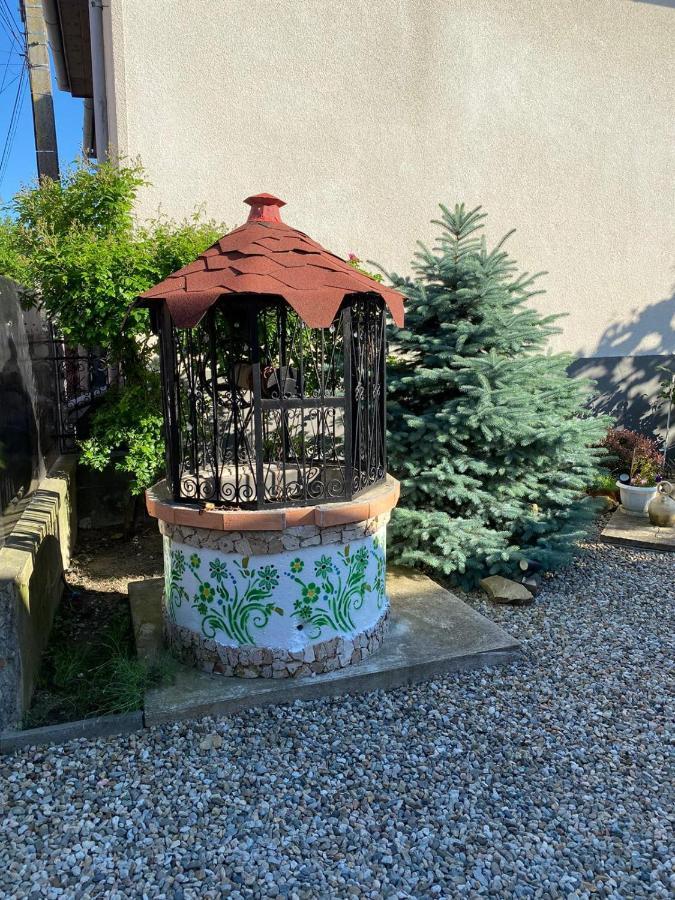 Casa Cezara Lägenhet Silvasu de Jos Exteriör bild