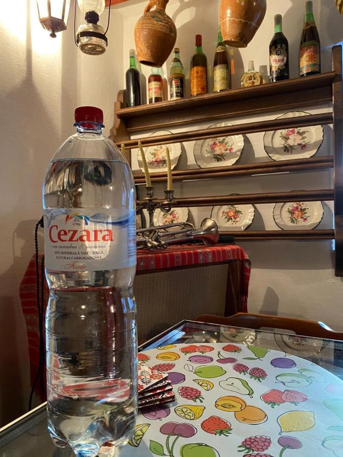 Casa Cezara Lägenhet Silvasu de Jos Exteriör bild