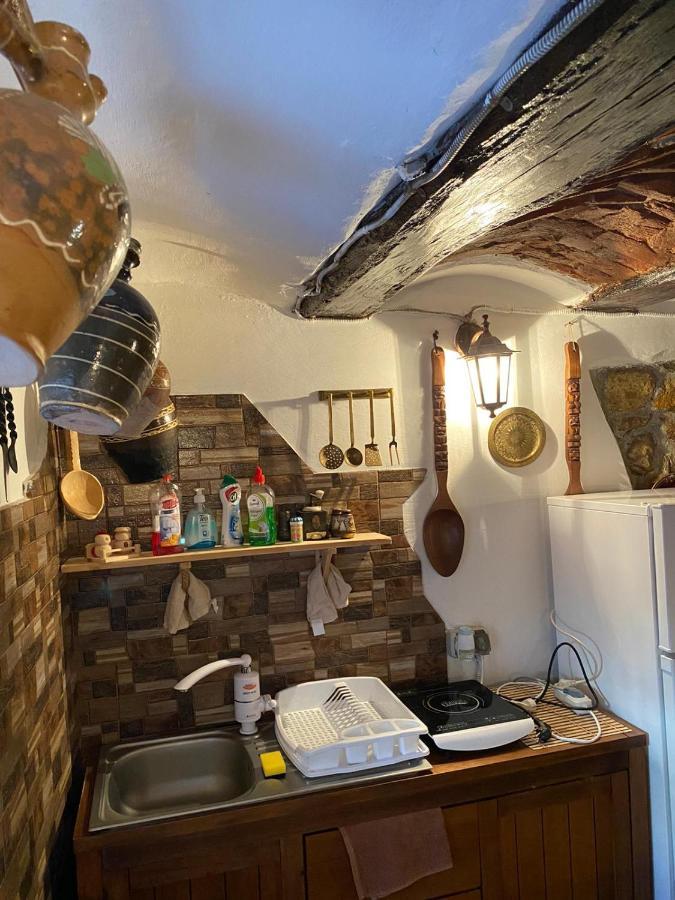 Casa Cezara Lägenhet Silvasu de Jos Exteriör bild