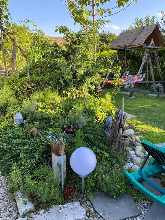Casa Cezara Lägenhet Silvasu de Jos Exteriör bild