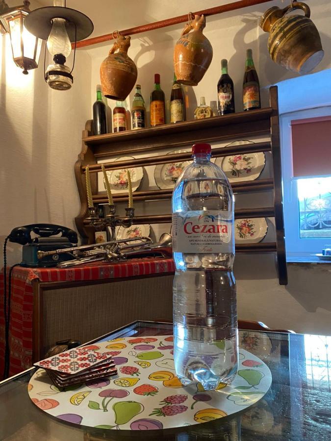 Casa Cezara Lägenhet Silvasu de Jos Exteriör bild