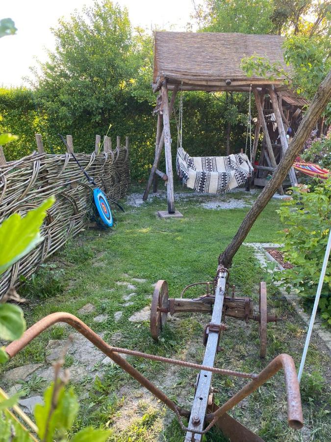 Casa Cezara Lägenhet Silvasu de Jos Exteriör bild