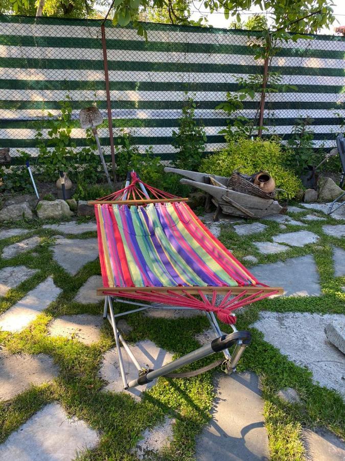 Casa Cezara Lägenhet Silvasu de Jos Exteriör bild