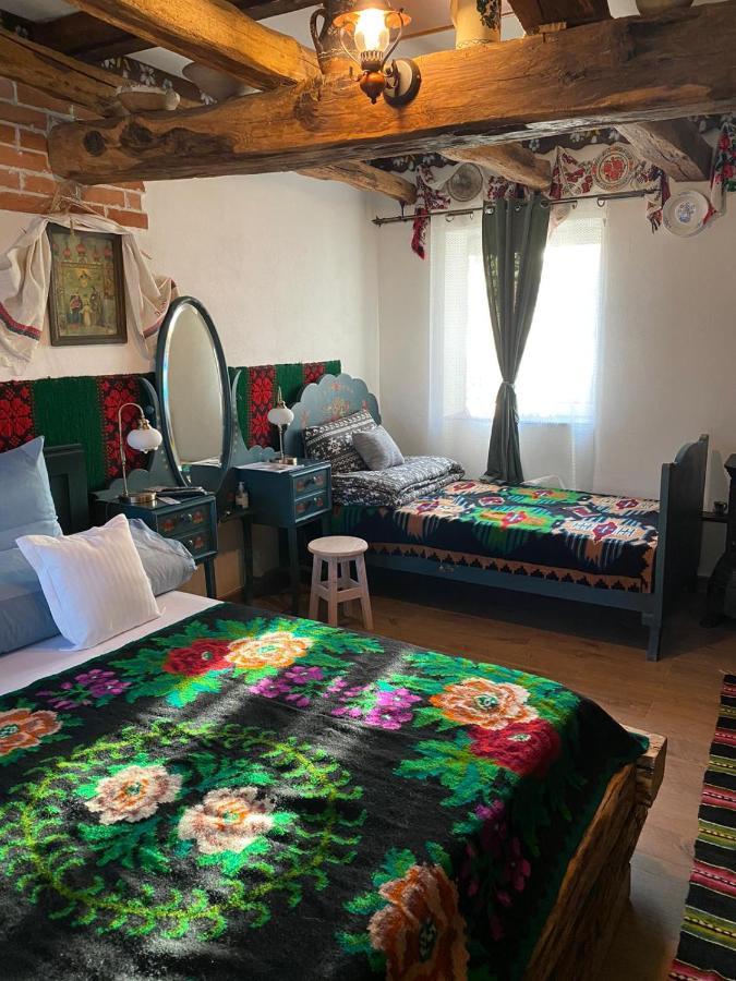 Casa Cezara Lägenhet Silvasu de Jos Exteriör bild