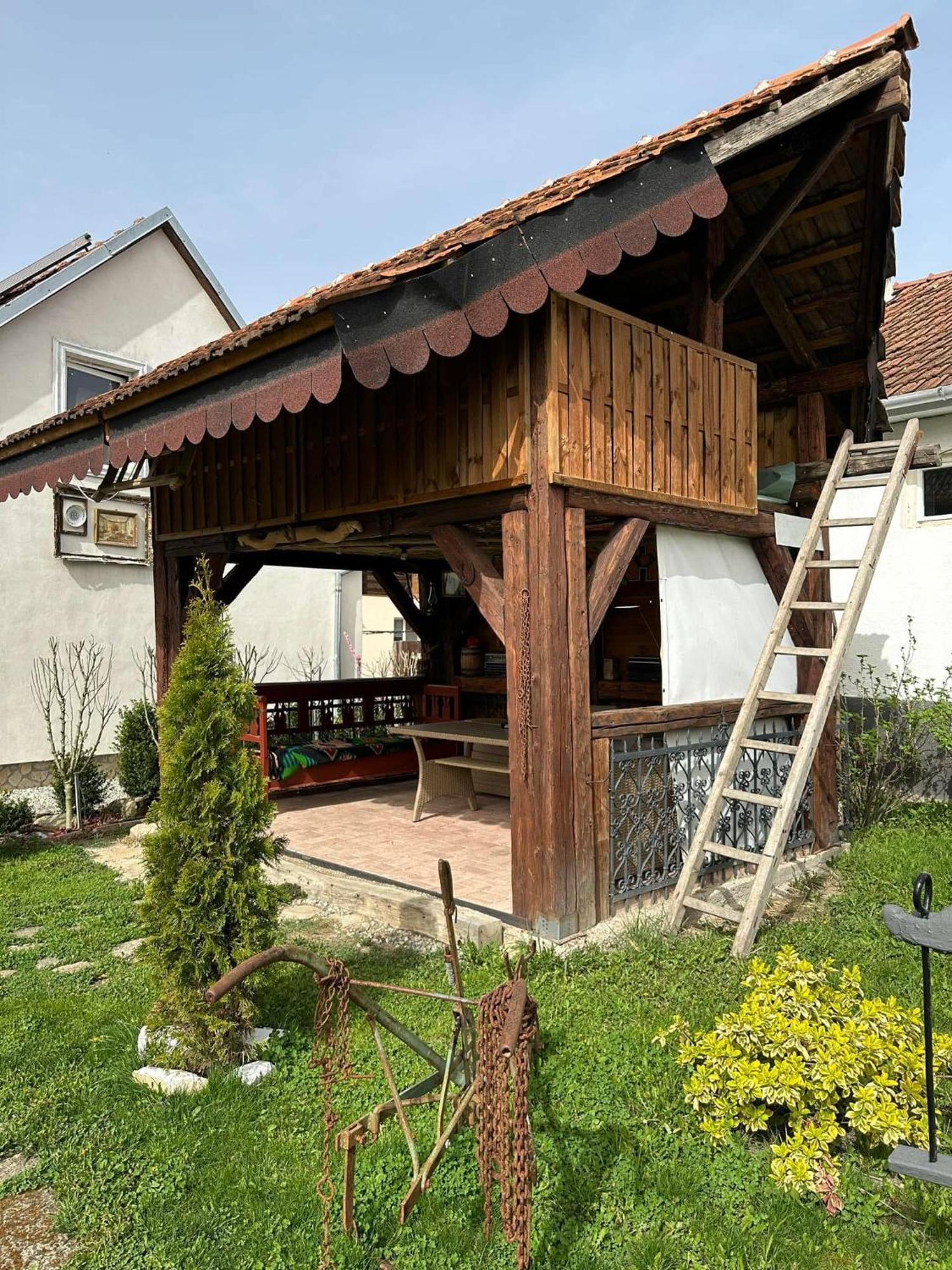 Casa Cezara Lägenhet Silvasu de Jos Exteriör bild