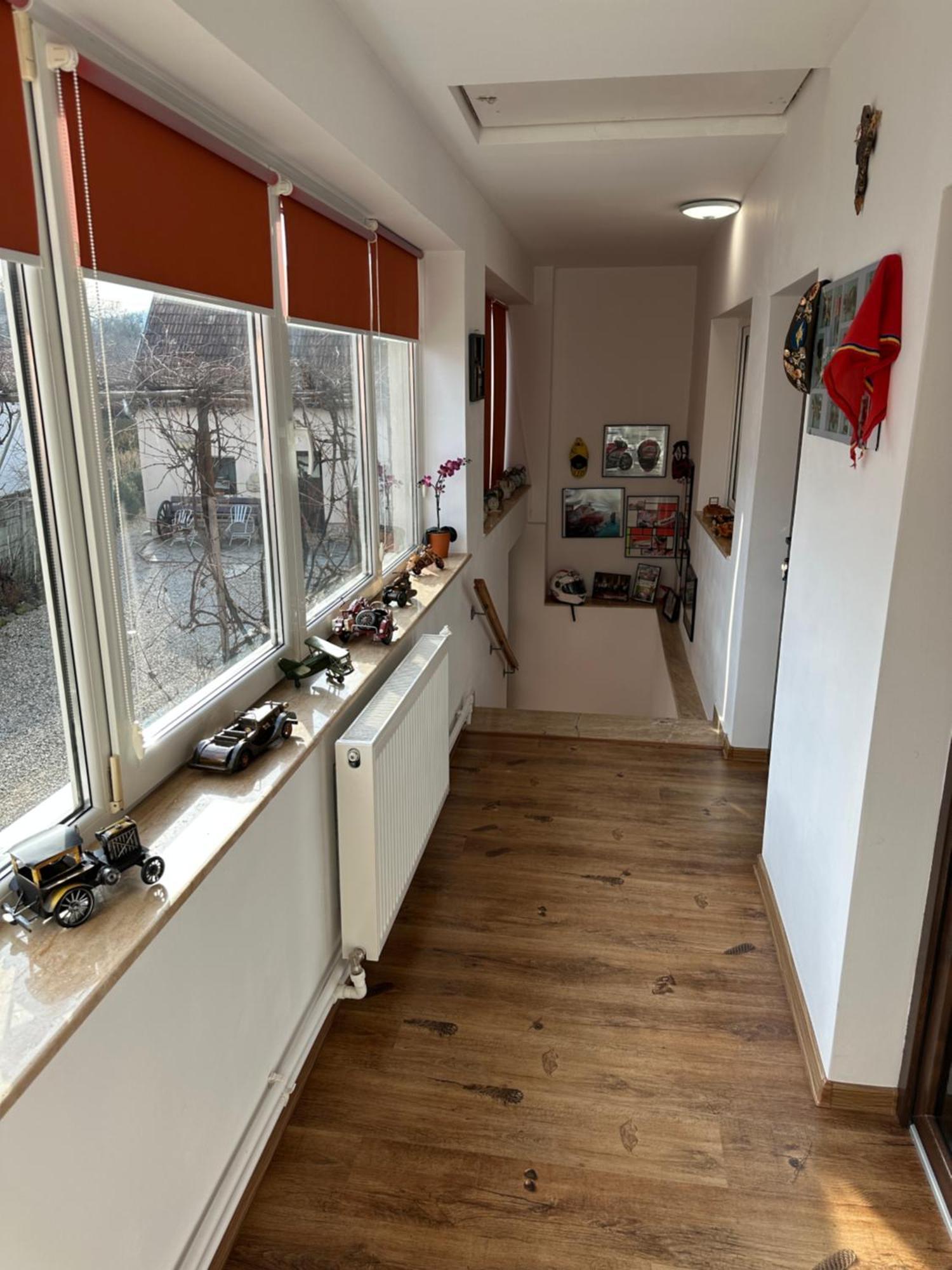 Casa Cezara Lägenhet Silvasu de Jos Exteriör bild