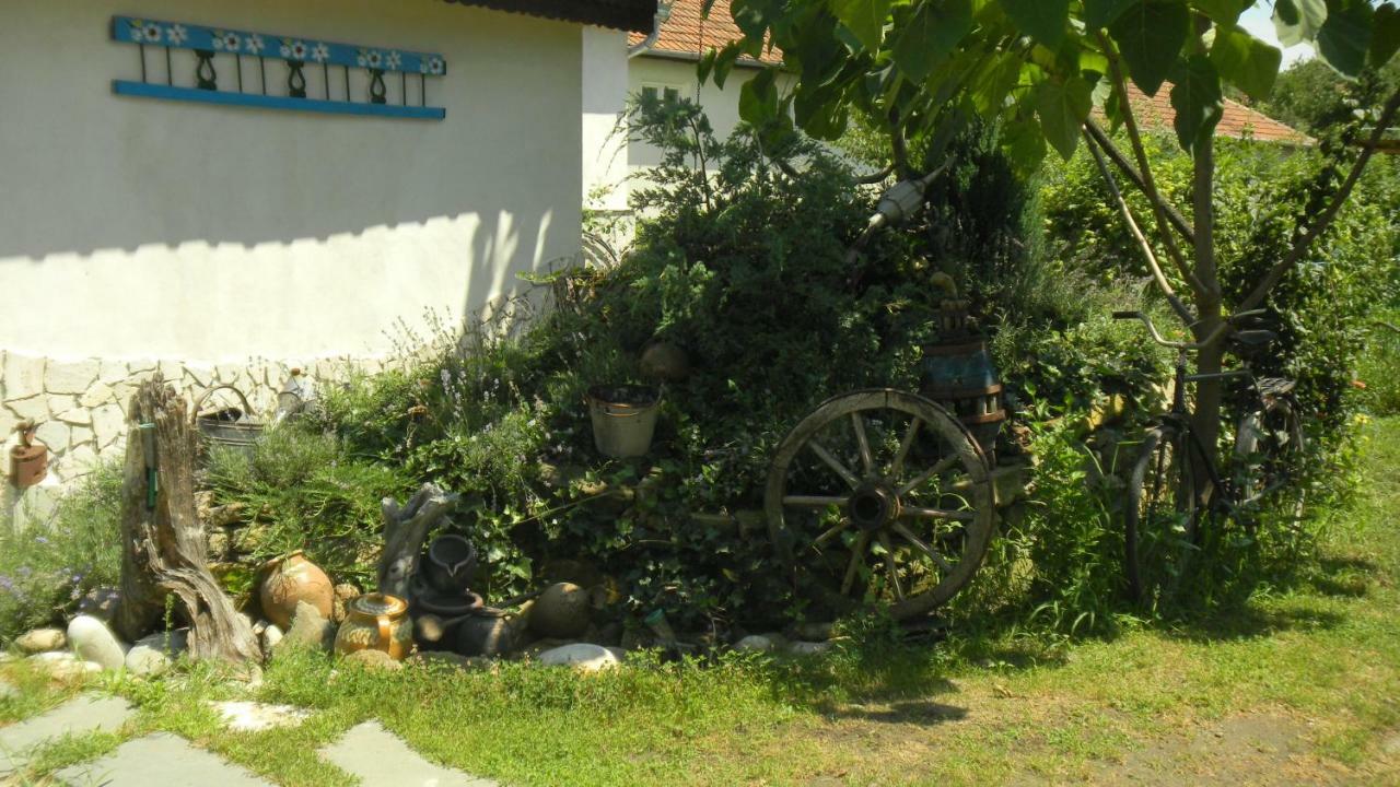 Casa Cezara Lägenhet Silvasu de Jos Exteriör bild
