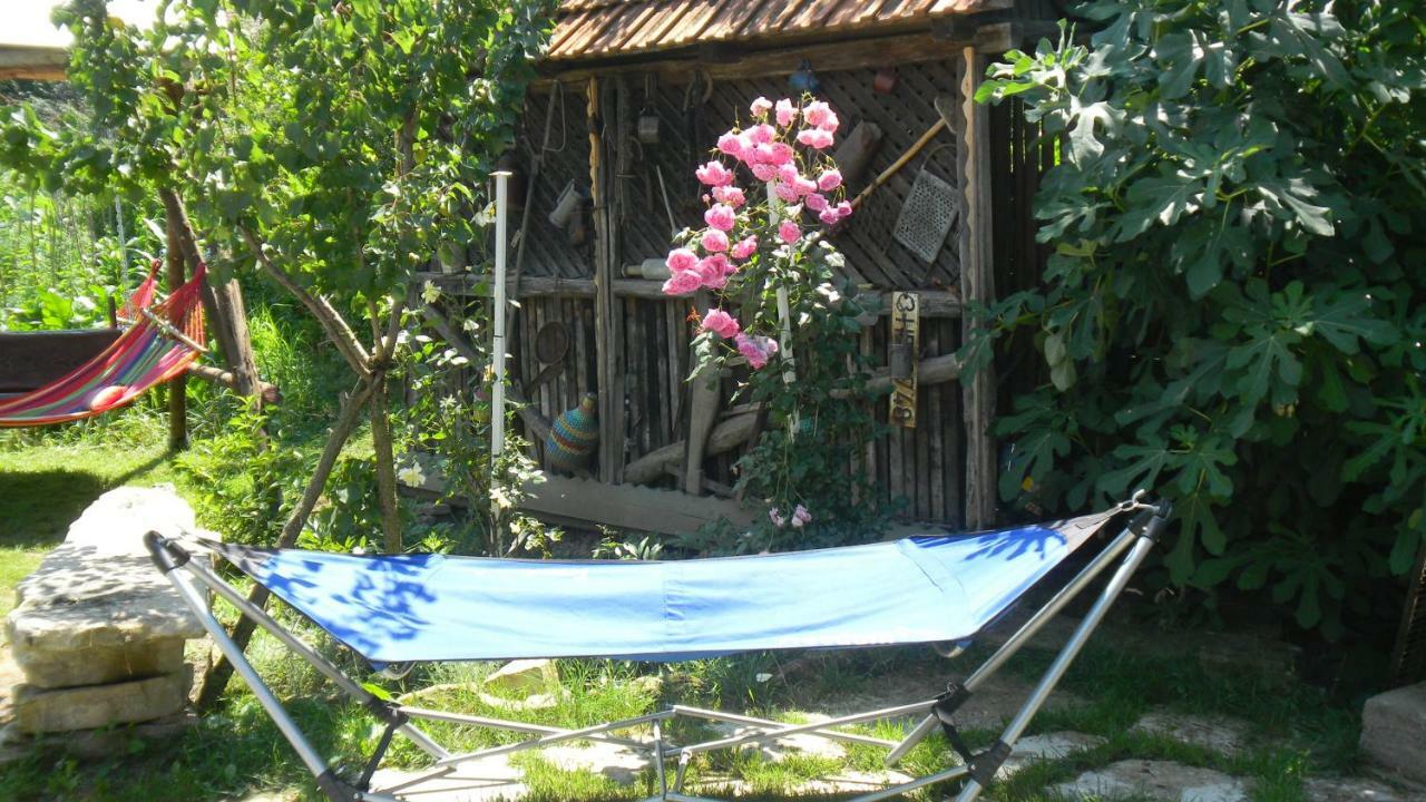 Casa Cezara Lägenhet Silvasu de Jos Exteriör bild